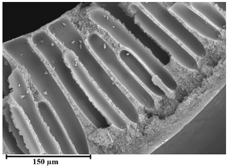 Separation and Purification Technology