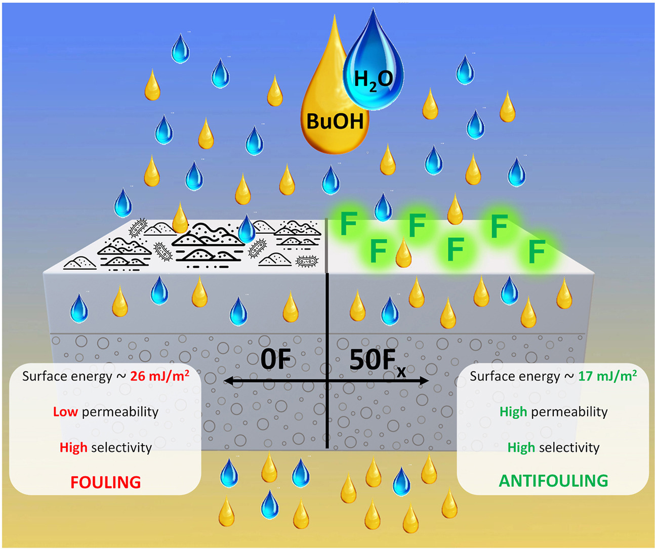 Journal of Membrane Science