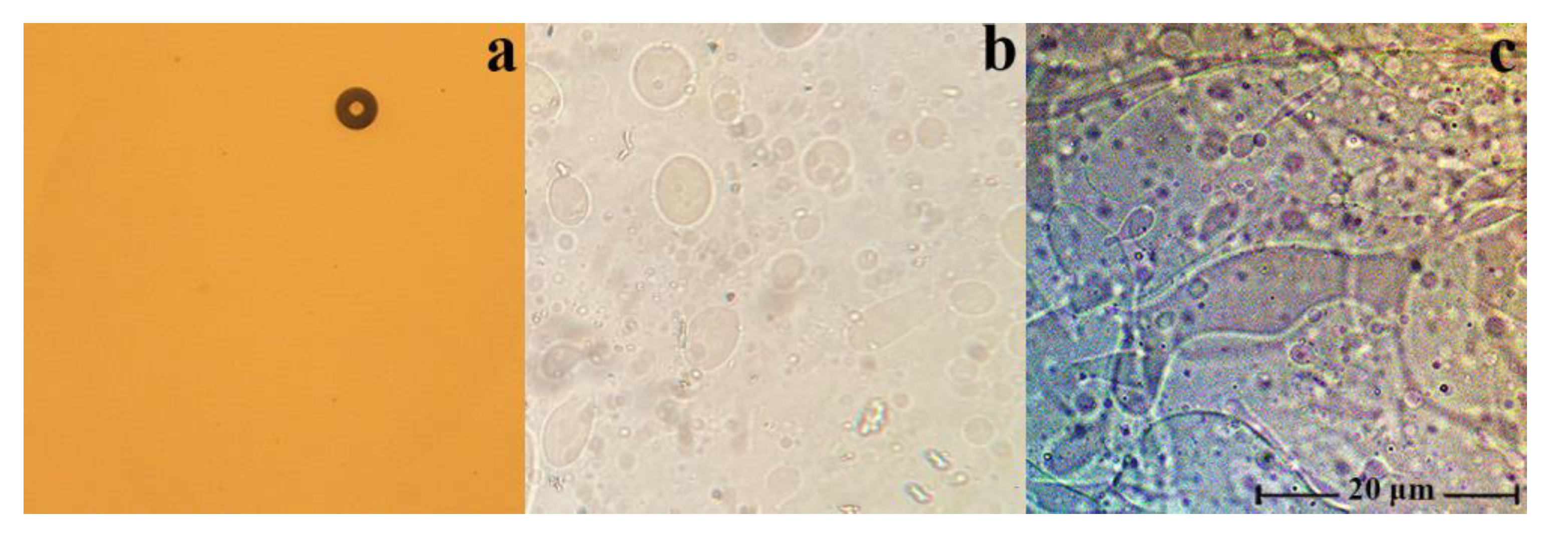 Membranes