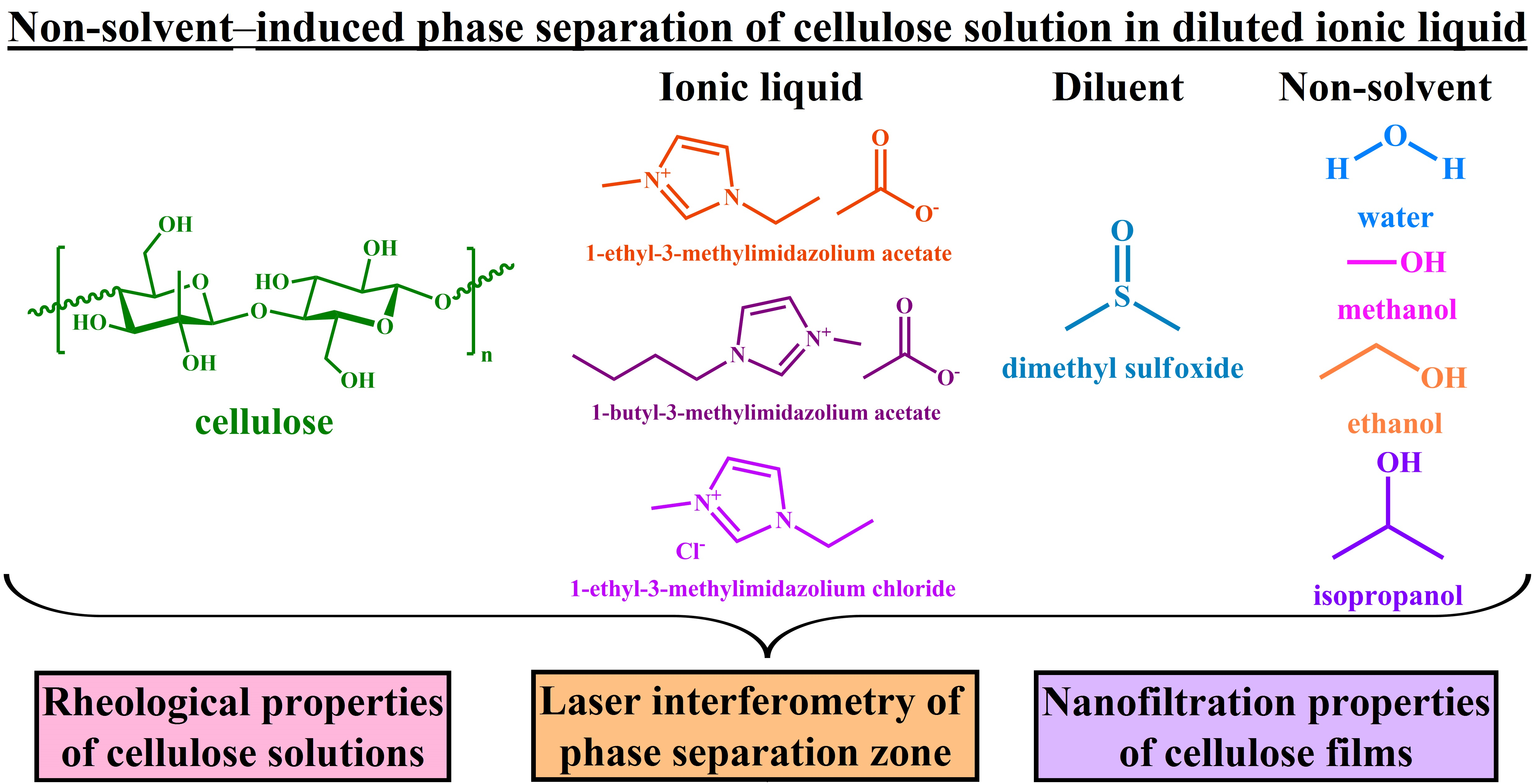 International Journal of Molecular Sciences